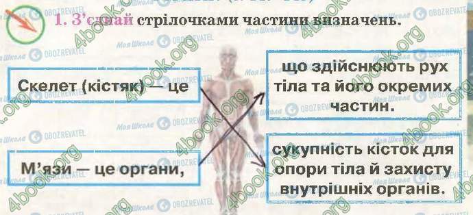 ГДЗ Природознавство 3 клас сторінка Стр49 Впр1